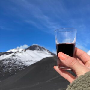 Henriette Confurius Instagram - sicilian moonwalk 🗻

•Etna•november 2021