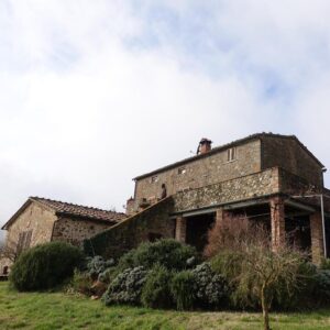Henriette Confurius Instagram - ..., aber gleich wieder da 
#toscana 🍃