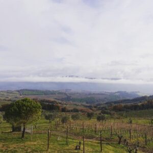 Henriette Confurius Instagram - ..., aber gleich wieder da 
#toscana 🍃