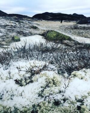 Henrik Holm Instagram - ❄️💨