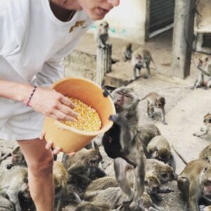 Henrik Holm Instagram - 🐒