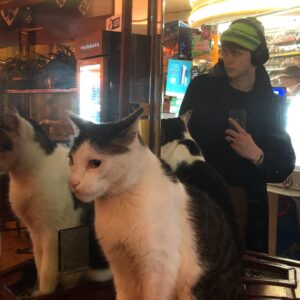 Henrik Holm Instagram - bonsoir