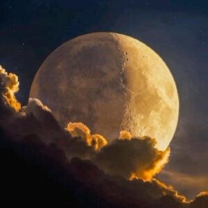 Hesam Navabsafavi Instagram - سلام برای کسانی که تا الان بیدارند این سونات را گوش کنید و آهسته  و آرام بخوابید .سید حسام نواب صفوی#سونات_مهتاب#حسام_نواب_صفوی