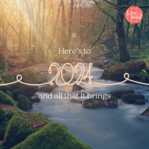 Hilary Rose Instagram - Here’s to 2024 and all that it brings✨

#livewildpodcast #wellnesspodcast #irishwellnesspodcast #livewild #hilaryrose #eatwild #thinkwild #bewild