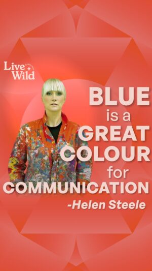Hilary Rose Instagram - Blue is a great colour for communication 💙

Legendary Irish fashion designer and artist Helen Steele talks to Hilary about the importance of art for everyone, how her designs were worn by popstars in music videos that racked up 40 million views and the tricks some big fashion labels get up to to avoid being truly sustainable. 

Listen in now wherever you get your podcasts or from the link in bio! ⭐️🌍

Follow Helen: @helensteelefash 
Follow Hilary here: @thehilaryrose 
Follow Live Wild here: @livewildpodcast 

Thank you for listening to the show, I hope you found it fun and inspiring. 

Please help us bring you the best quality content by rating, liking, commenting and sharing the show with others.

If you’d like to show your support we would be delighted! You can ‘Buy me a coffee’ by following the link below.

https://buymeacoffee.com/livewildpodcast

Or if you’d like to donate crypto currency to support us we would be delighted! You can donate crypto currency below.

https://bitdonate.com/embed/donate/live-wild

You can read more about us or contact us at www.livewild.ie

As always the Live Wild podcast, its CEO and host Hilary Rose emphasis that this podcast is for entertainment purposes only. 

Thank you! Xxx

#HelenSteele #HilaryRose #LiveWildPodcast #Season2 #NewEpisodes #LiveWild #ThinkWild #BeWild