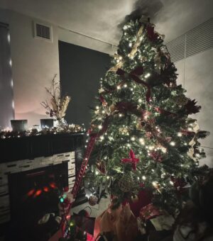 Hiroki Narimiya Instagram - Merry Christmas everyone!!
素敵な夜を過ごしてね xx 

#クリスマス 
#ホームパーティー 
#merrychristmas