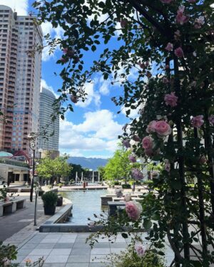 Hollie Arnold Instagram - 𝙼𝚎𝚎𝚝 𝚖𝚎 𝚒𝚗 𝙺𝚘𝚋𝚎 😍🌸🎌
•
•
#travel #love #boyfriend #happy #kobe #worldchampionships
