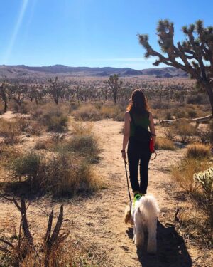 Holly Deveaux Instagram - 🌵🐶