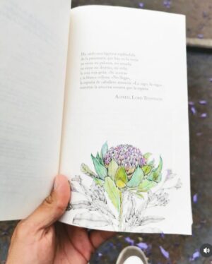 Holly Ringland Instagram - Oooooof - the joy of seeing readers transform my books into their own artworks! 

Slide #1: @nolasco_jon riffing on @edithrewa 
2. Tanya Cox riffing on @its__not_safe_here 
3. @katie.reads.things riffing on @katedehler 
All designed by the one and only @hazellam___ 

There’s a cyclic, flow-on quality to this joy: these expressions of creativity in response to my books inspire me to want to create more, write more stories. Make more art. Maybe you know the feeling with your own creativity? 

What a humbling, fascinating, and generous truth: when we create and feel joy, we stir up creative inspiration in other people. Like courage and fear, creativity is contagious.

🧡

I’ll be writing more about creativity in my newsletter #TheJoyRise on @substack. Every month I’ll also answer reader Qs about creativity. Send me yours or subscribe via link in bio - I’d love to hear from you. First issue is coming soon!

#JoyIsAnActOfResistance