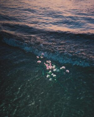 Holly Ringland Instagram - How do I even begin to speak about @hollygoeslightly . It feels fitting to be by the ocean while I talk about her. 
⠀⠀⠀⠀⠀⠀⠀⠀⠀
Whenever I go back home I find myself watching “Back to Nature” with my parents. Sitting in “my” seat on our couch with my family learning about Australian culture and nature through her. 
⠀⠀⠀⠀⠀⠀⠀⠀⠀
Discovering that she was visiting Ukee and was the Author of our book club book, my mind blew. I had to reach out. I felt such a connection to her without ever having met her.
⠀⠀⠀⠀⠀⠀⠀⠀⠀
And boy, when we met, did we cackle?! It blows my mind how briefly you can meet someone but feel so connected, like your souls knew one another. That’s how I felt with Holly. 
⠀⠀⠀⠀⠀⠀⠀⠀⠀
She is an absolute light, a force of good and kindness and love and joy. That has known darkness which makes her even brighter. I’m so thankful to have been able to spend this brief time with her and Sam. And it goes to show, when you feel that connection, don’t deny it, act. 
⠀⠀⠀⠀⠀⠀⠀⠀⠀
And also read her books!