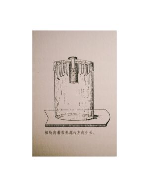 Hsu An-Chih Instagram - 「世界最初是一片混沌的綠色。」