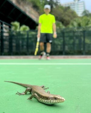 Hugo Wong Instagram - 驟晴驟雨的天氣
竟然可以打到兩個鐘頭
爆汗真係好爽架😆
仲有特別嘉賓～