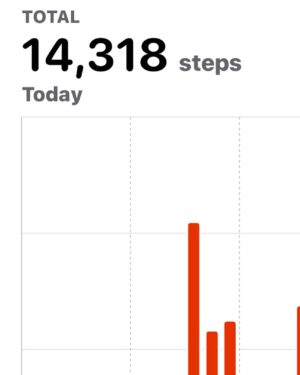 Iain Armitage Instagram - Got some steps in this morning with my good friend Mr Wally Shawn. #sagaftra #sagaftrastrong #sagaftrastrike