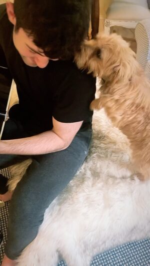 Ian Nelson Instagram - Puppies make everything better

#fyp #dogsofinstagram #norfolkterrier