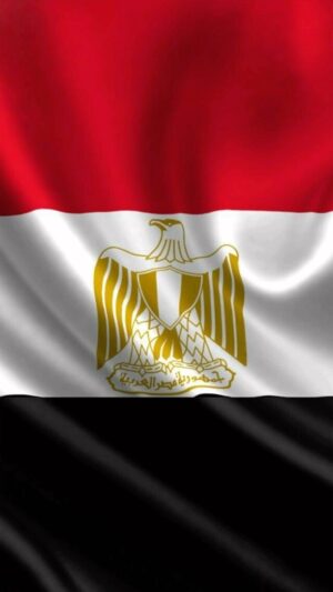 Ibrahim Saeed Instagram - فخامه رئيس جمهوريه مصر العربيه ❤️
عبد الفتاح السيسي وكل القيادات المصريه والقيادات في الجيش المصري 
120 مليون مصري معاكم مستعدون للتضحيه لأجل بلدنا الحبيبه مصر 
محدش يقرب لسيناء الحبيبه ارض الشهداء اهلنا واخواتنا علي مدار التاريخ 
سيناء ارض مصريه 
رحم الله جميع شهداء الوطن الأبطال 
حفظ الله مصر شعبا وأرضا ❤️
كلنا الجيش المصري ومعاكم 
مصر اولاً واخيراً 🇪🇬#مصر#الجيش_المصري_رجال #الجيش_المصري