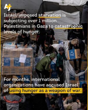 Ibram X. Kendi Instagram - As catastrophic as Israeli forces dropping bombs that instantly wipe out families has been Israeli forces (and settlers) slowly starving to death countless Palestinian children and adults who somehow survive the bombs. Creating a full-blown famine in Gaza can never be justified as self-defense. Creating a full-blown famine in Gaza is indisputably a genocidal action.

Source: @ajplus