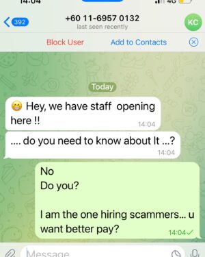 Ida Nerina Instagram - Layan for the day… #scammersbescammed