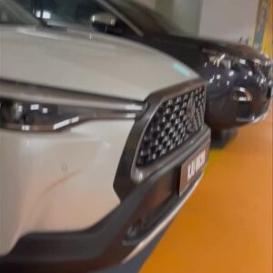 Ida Nerina Instagram - When you fail at telling your kid how cool @oneutama is cos they have SOOO MANY parking for disabled drivers… only to find that in the last week, it’s been reduced to only TWO! 🙄