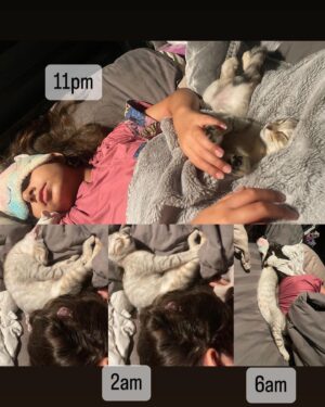 Ida Nerina Instagram - Pls note- my daughter is SIHAT WALAFIAT. Alhamdulillah… I was just showing how her kitten sleeps with her… 😅