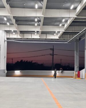 Ikki Sawamura Instagram - .
夕陽。

私のマネージャー・i氏は後ろ姿がお好みなのか、後ろ姿率高めです。

#トクメイ