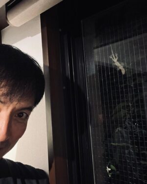 Ikki Sawamura Instagram - .
今年は姿を見せてくれました。

毎日ウソみたいに暑いですが、ヤモリも一生懸命に生きています。