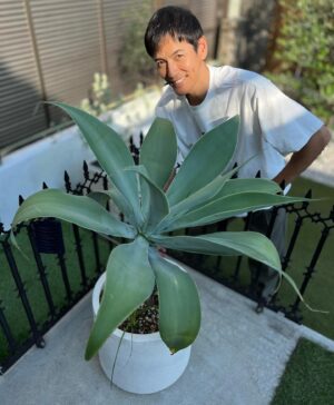 Ikki Sawamura Instagram - .
最近の楽しみはガーデニング。

植物に合わせて土の配合を考えるのは中々の楽しさだけど、なんだか葉っぱが弱ってきたような・・

無事に梅雨を越えられますように・・

#ドライガーデン