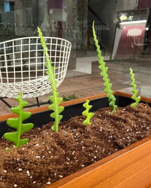 Im Seul-ong Instagram - 근황..🌱💫😊