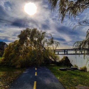 India Desjardins Instagram - Post-apocalypse 🧟‍♀️🧟‍♂️ .
.
.
.
#tempête #apocalypse #postapocalypse #pontchamplain #dystopie #halloweengate