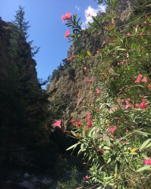 India Desjardins Instagram - Randonnée dans les gorges de Samaria ⛰
Photos: Olivier (moi étant trop occupée à me concentrer à ne pas glisser sur les roches! )
#samariagorge #crete #randonnée #hiking #nofilter