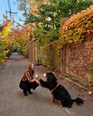 India Desjardins Instagram - Vive l’automne, les ruelles, le retour du corduroy et les high five avec mon complice canin! 🍂
.
.
Merci @boutiquemodeco 🍁
.
.
.
.
#automne #fall #ruelle #alley #bernesemountaindogs #bouvierbernois #ambassadrice #achatlocal #boutiquemodeco #corduroy #highfive