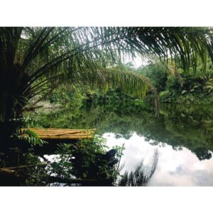 India Desjardins Instagram - Cette semaine, ma sœur et moi, on habite et on se promène dans la forêt amazonienne pour l’émission @partirautrement .🌴🌱🍃🌿
Photo 📷: @ginades .
.
.
.
#foretamazonienne #perou #saucetarapoto #partirautrementenfamille