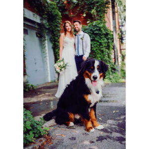 India Desjardins Instagram - Je partage avec vous quelques souvenirs 👰🤵🏼
(Ma photo préférée est avec Gugu, car le focus est sur lui et ça représente bien notre vie depuis un an! Haha Et aussi... c’est ça ma famille 💕) Merci à @melanielrobichaud (la meilleure DH), @sofecteau (notre super célébrant), @ginades (mon témoin), notre famille et nos amis pour votre précieuse présence.

D’autres mercis... Aucune commandite, juste du monde avec qui j'ai aimé travailler et j'aimerais me remarier juste pour retravailler avec eux (!) donc si jamais vous avez un événement et que ça peut vous inspirer...
@stephanie.pic.photogtaphe (pour les photos magnifiques), @heramariages (pour la magie et tout ce que vous avez rendu «paisible»), @les_affames (pour la bouffe cool), Joanie Lapointe (pour le maquillage), @zenlepouvoirdesfleurs et @d_liche_cupcakes . 📷 © @stephanie.pic.photogtaphe (Merci de ne pas les partager)