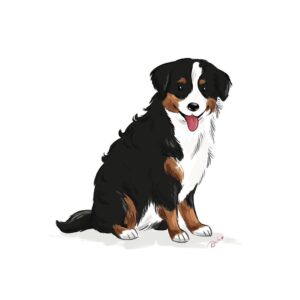 India Desjardins Instagram - Beau cadeau de mon amie @bachillustrations, sans raison, même pas Noël, juste pour être gentille et qu’elle comprend  l’importance qu’il a pour moi: un portrait de mon Gustav.
Mon ❤️ fait des bonds 🐾 .
.
.
.
.
#illustration #illustration #dogillustration #bouvierbernois #dog #chien #dogillustrator #bernesemountaindogs #bernesemountaindoglovers #bernesepuppy #bernesemountaindogsofinstagram