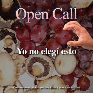 Inés Efrón Instagram - Cierra la primer convocatoria de YO NO ELEGI ESTO 
Fueron muchísimas las personas que confiaron en nuestra elección de lo casual en sus vidas y para poder dedicarnos con atención artesanal a cada unx cerramos esta primer convocatoria 
Muchas gracias a todxs , pronto tendrán más novedades
Ines Efron y @juangabrielmino

Diseño gráfico @aobre