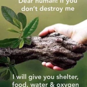 Ingrid Bolsø Berdal Instagram - 🌱