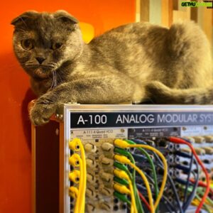Inio Asano Instagram - Techno cat