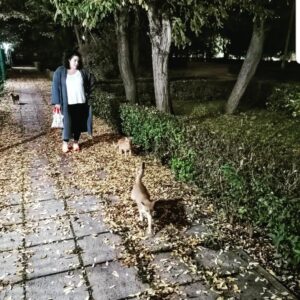 İpek Ayaz Kortunç Instagram - Öyle süslü fotoğraflarım olmuyor.  İnsandan uzak,davetlerden uzak,beyazları taç gibi çıkmış saçlar,tayt üstü çorap,elde her daim bir su ya da mama bidonu,sırtta ya da kolda her daim bir çanta,çanta içinde... Neyse onĺarı saymayayım zira bundan kime ne !
