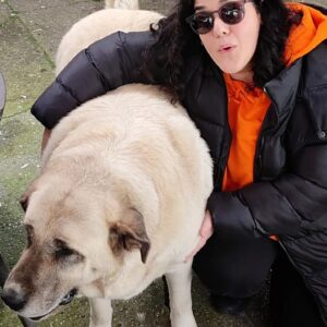 İpek Ayaz Kortunç Instagram - Kedi gördün öpücük at,kuş gördün selam çak,kirpi gördün göz kırp,kaplumbağa gördün eşlik et,köpek gördün sarıl,insan gördün kaç kaç kaç kaç kaç ! 
Şaka şaka. 
İyi insanlara denk geldin mi bas bağrına 💜