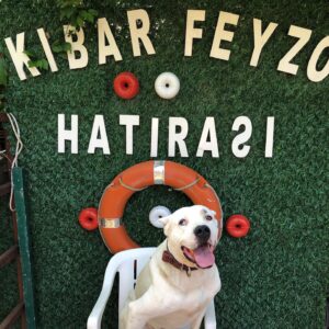 İpek Tanrıyar Instagram - Allahıma ne kadar şükür etsem az...Çünkü Feyzo’m var..Anlatmaya gerek yok😂biliyorrrrssssunuzzzzzzz:) #babalargünü