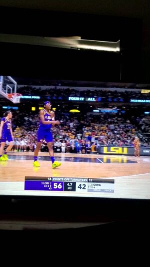 Irone Singleton Instagram - From the playing to the coaching to the officiating to the cheering, perhaps, the most inspired and inspiring half [game]🤯 of basketball I've ever watched! #ncaawomensbasketballtournament #IOWA #LSU #girlpower🔥👏🏿

BBTWDtheplay.com
#TRUTH & #LOVE🙏🏿❤🙂