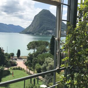 Irrfan Khan Instagram - View from the room . Lightning illuminated the sky and the lake #thesongofscorpions #anupsingh @shahaf_films @saskia_vischer #lightning #lugano #switzerland