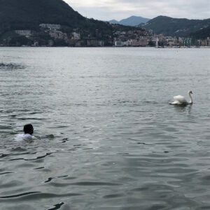 Irrfan Khan Instagram - Dip in the lake with swan , how it looked going away ,its beyond words #lakelugano #locarnofilmfestival2017 festival #rajhans #swan #logano