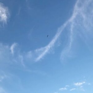 Irrfan Khan Instagram - #soringsky #freebird #wishiwasthere