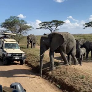 Isha Blaaker Instagram - Hey guys, I know I’ve been away for a while.  I’ve been on Safari, saw some animals, made some friends and basically had a good time.