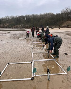 Iwan Rheon Instagram - Can I get a reload? Lovely day yesterday with the wonderful people @projectseagrass @wwfcymru @wwf_uk learning about the importance of seagrass for our ecosystems and indeed the planet…and of course particularly great planting from @celspellman