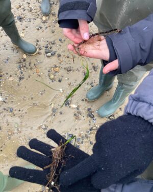 Iwan Rheon Instagram - Can I get a reload? Lovely day yesterday with the wonderful people @projectseagrass @wwfcymru @wwf_uk learning about the importance of seagrass for our ecosystems and indeed the planet…and of course particularly great planting from @celspellman