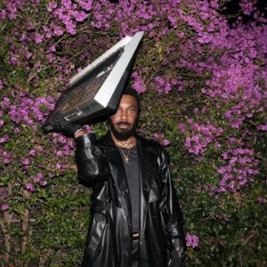 JPEGMAFIA Instagram - I haven’t been doing shit but hating on lightskin niggas, growing my hair out & making music. 🔗 album mode