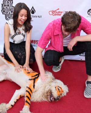 Jack Champion Instagram - Ever seen a tiger dog?
