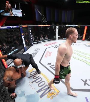Jack Della Maddalena Instagram - Brady has shit the bed. Open challenge to anyone in the promotion. 170 - 185 International fight week.