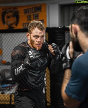 Jack Della Maddalena Instagram - 6 weeks and counting. He’ll go down in the first round.